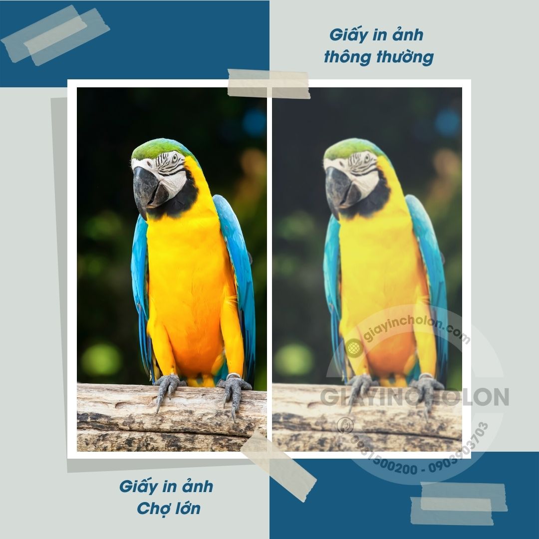 Giấy in ảnh A4 chuyên sử dụng trong in phun màu
