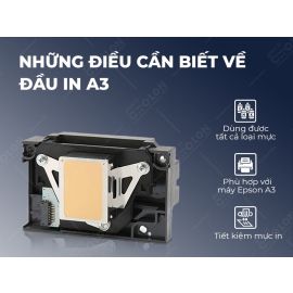 Đầu in máy in màu Epson A3