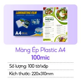 Giấy ép plastic A4 100mic