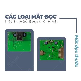 Các loại mắt đọc máy in Epson A3