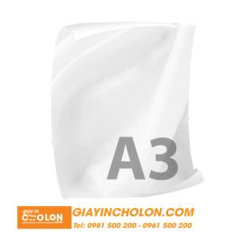 Vải Silk in hình A3
