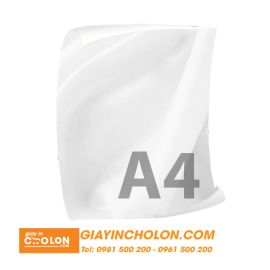 Vải  Silk in hình A4